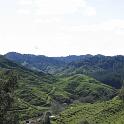 IMG_0955