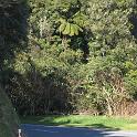 IMG_0956