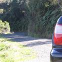 IMG_0958_wallpaper