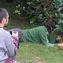 Imagen 175