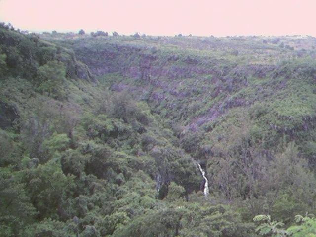 Original image