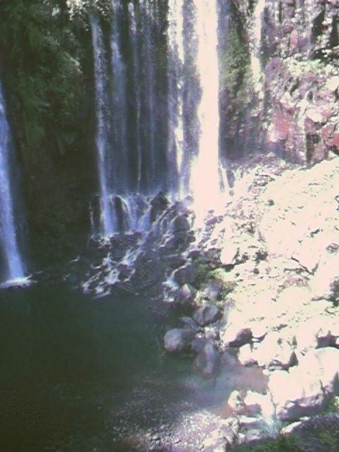 Original image