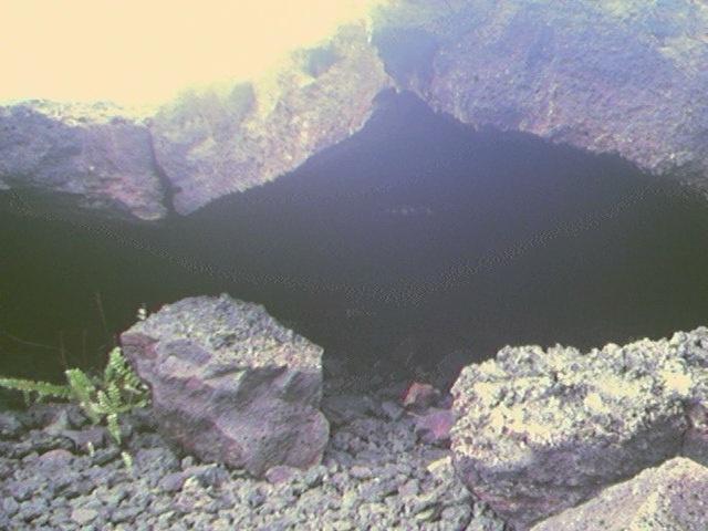Original image
