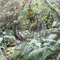 IMG_0892