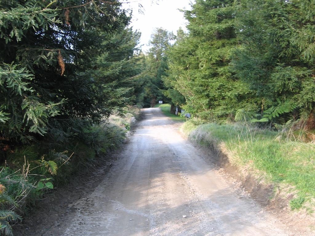 Original image
