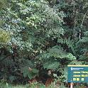 IMG_0851