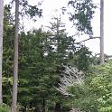 IMG_0934