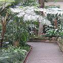 IMG_0623