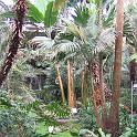 IMG_0625