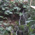 IMG_0631