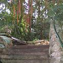 IMG_0633