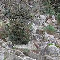 IMG_0645