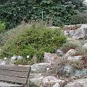 IMG_0646