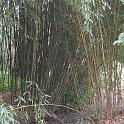 IMG_0653