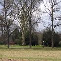 IMG_0654