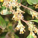 IMG_0655