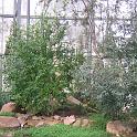 IMG_0659