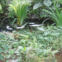IMG_0668
