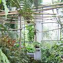 IMG_0678