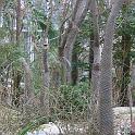 IMG_0681