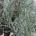 IMG_0685