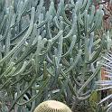 IMG_0690