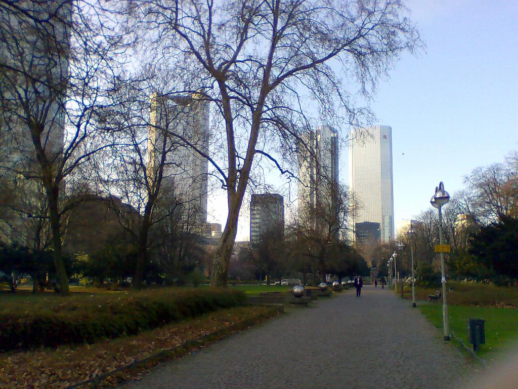 Original image