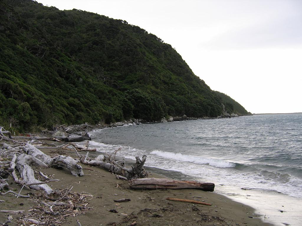 Original image