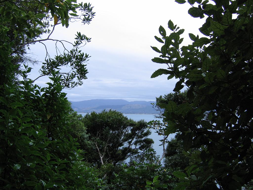Original image