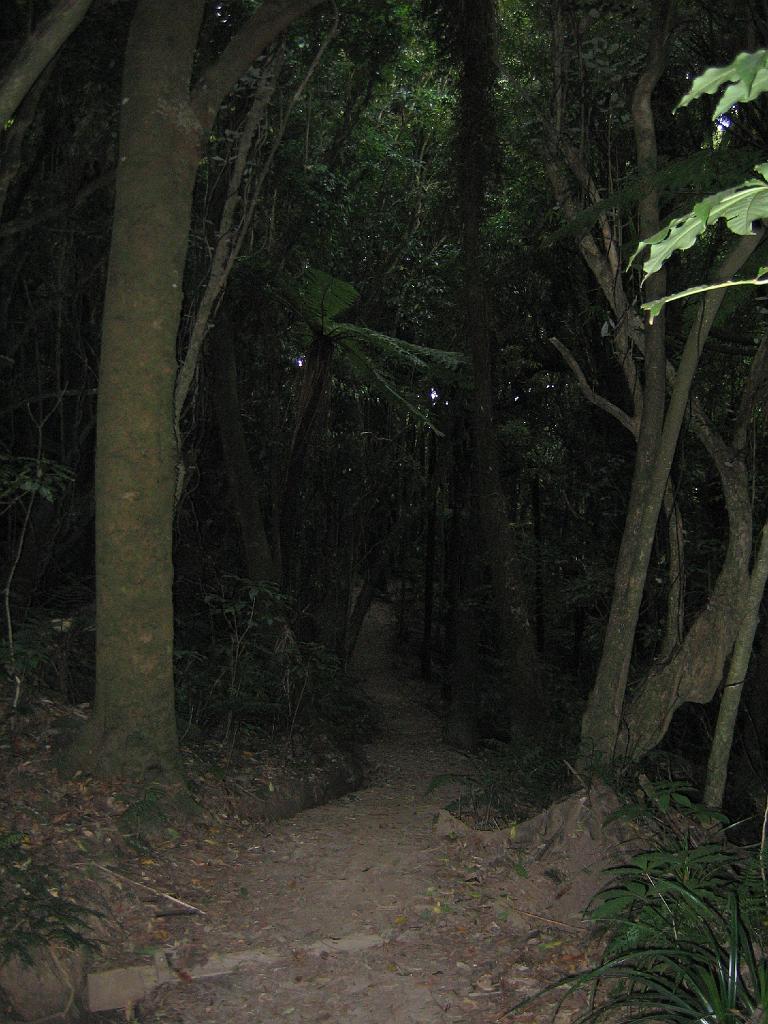 Original image