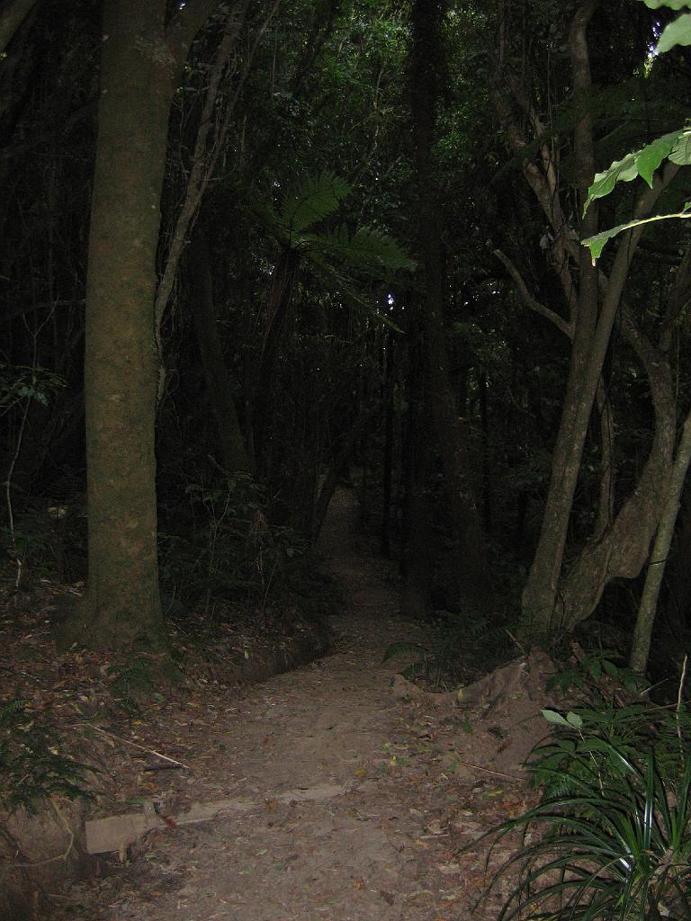 Original image