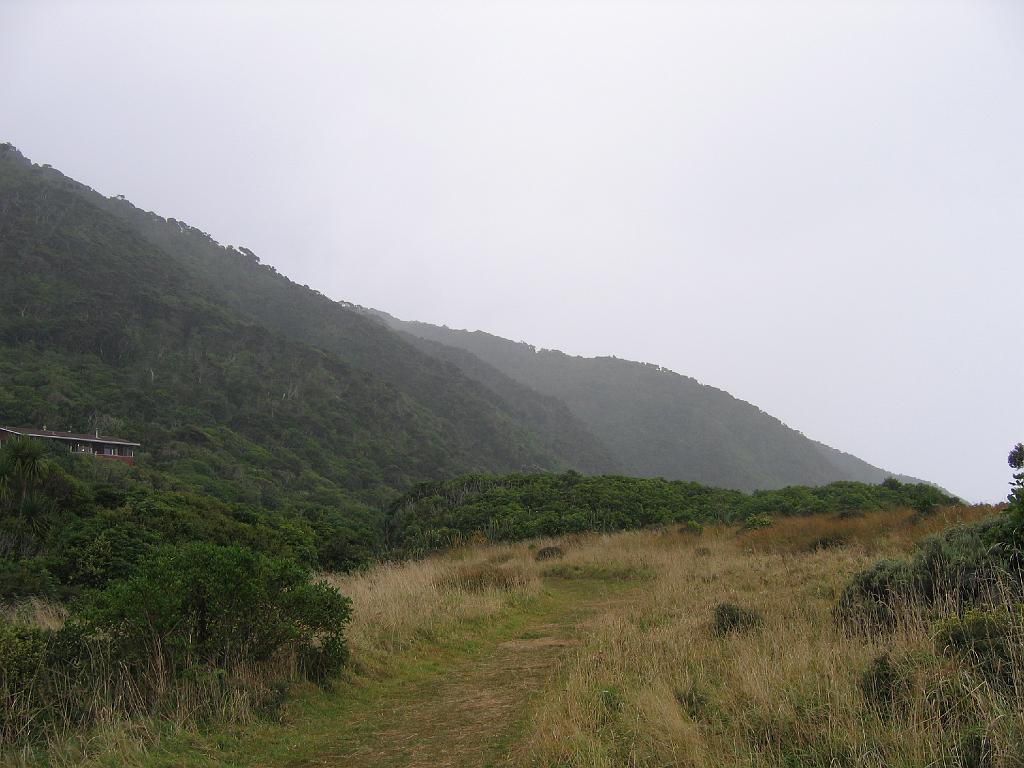 Original image