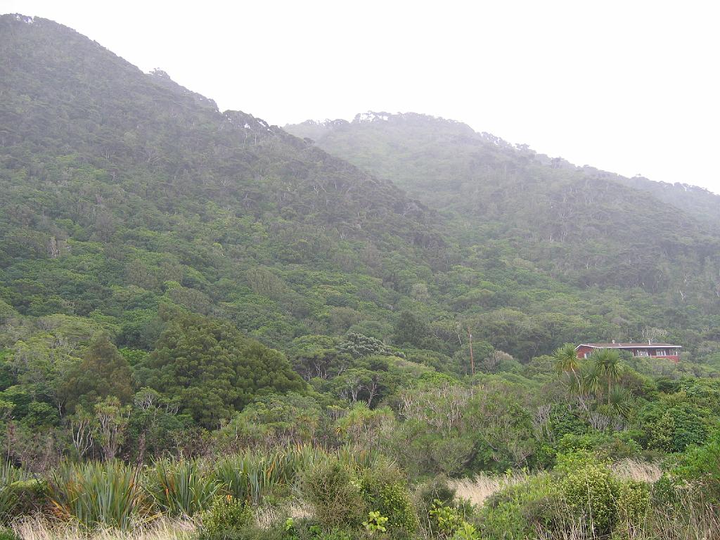 Original image