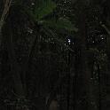 Imagen 215