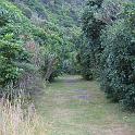 Imagen 229