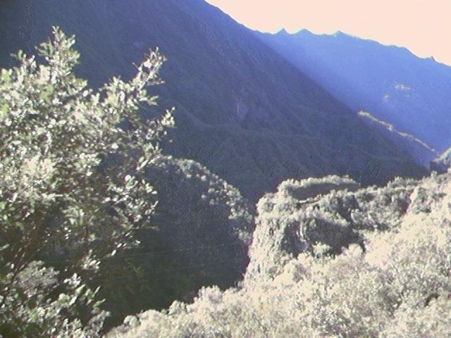 Original image