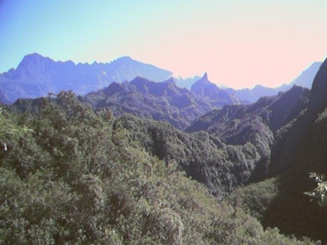 Original image
