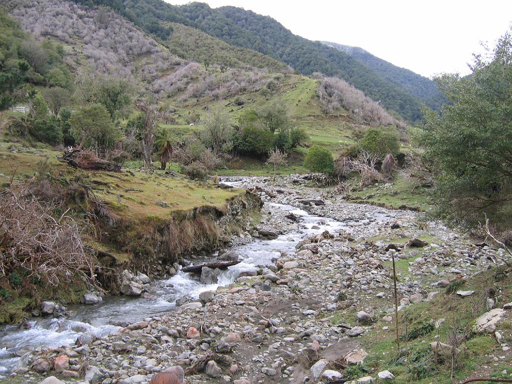 Original image