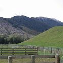 IMG_0780