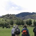 IMG_0781