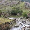 IMG_0786
