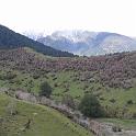 IMG_0789