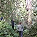 IMG_0794