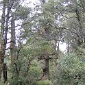 IMG_0795