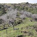 IMG_0801
