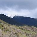 IMG_0802