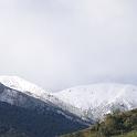 IMG_0804
