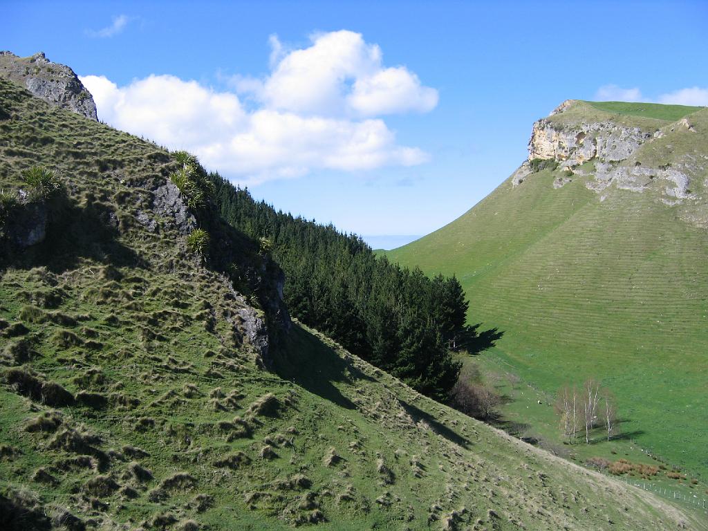 Original image