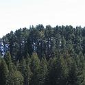 IMG_1032