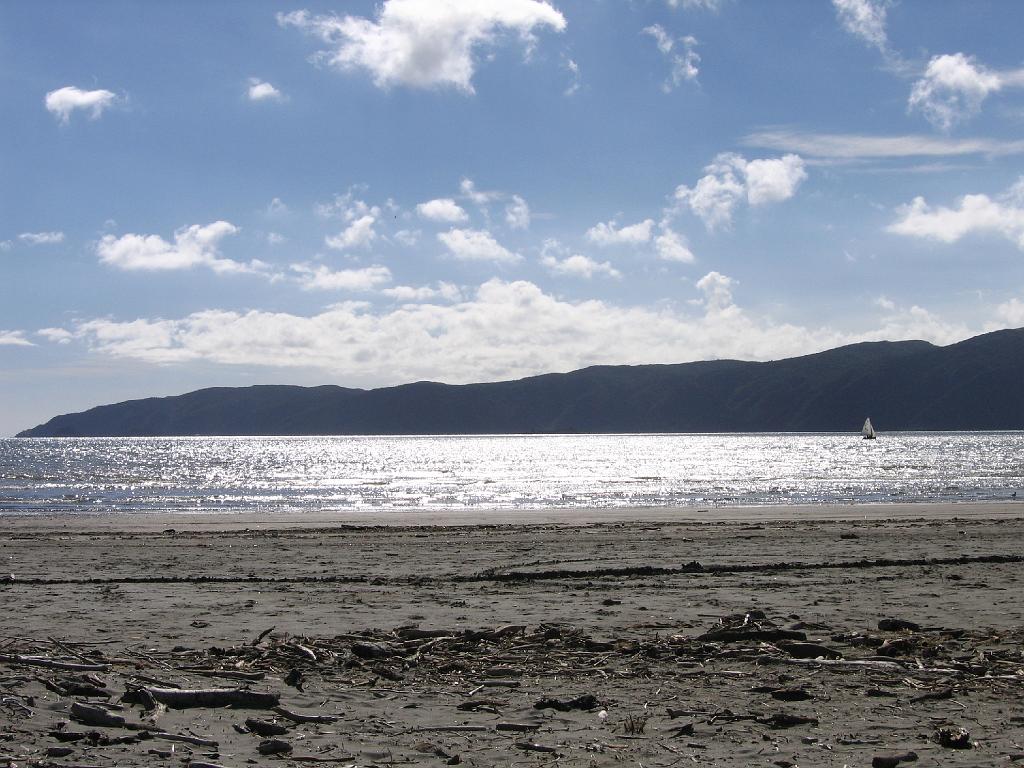 Original image